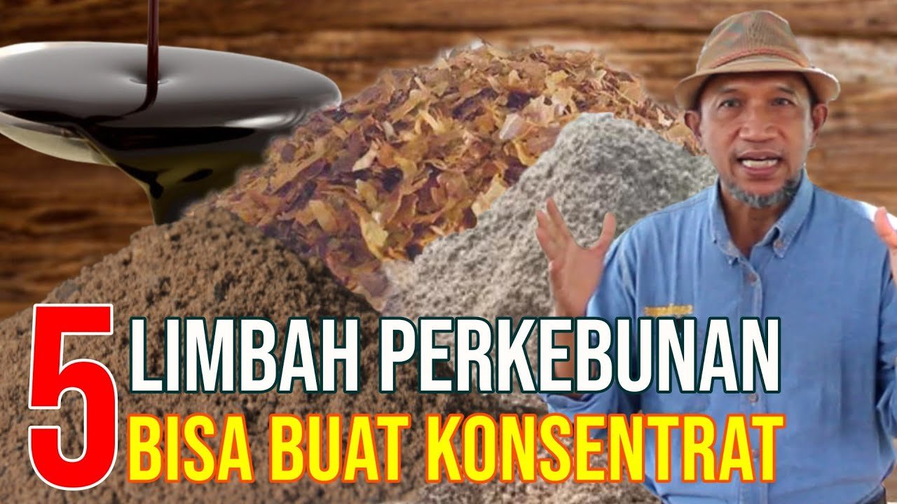
                                 Konsentrat-Pakan-Limbah-Perkebunan-Ternak-Sapi-Dan-Kambing
